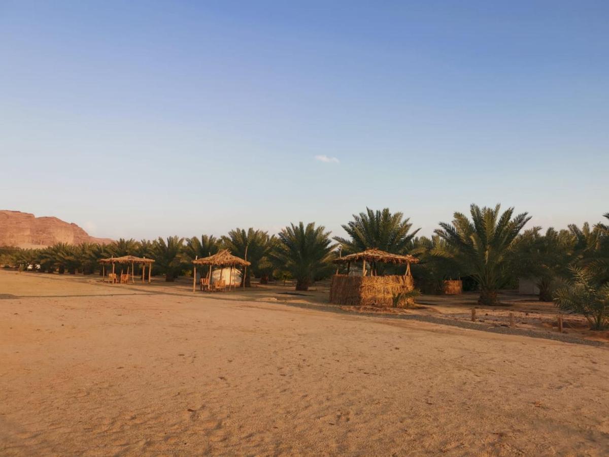 Almazham Camp Resort 알 울라 외부 사진
