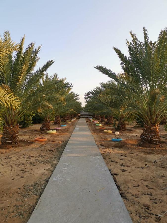 Almazham Camp Resort 알 울라 외부 사진
