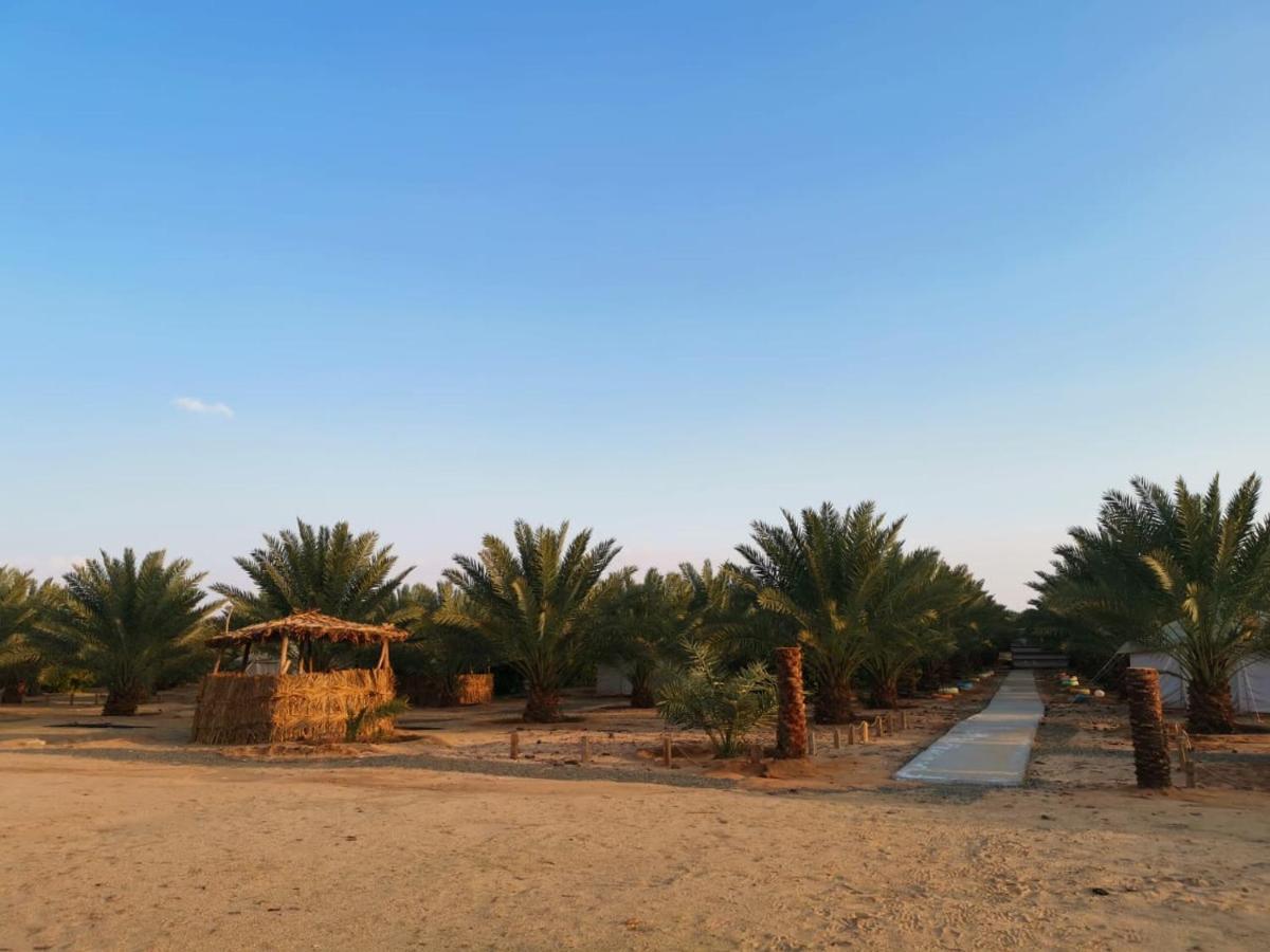 Almazham Camp Resort 알 울라 외부 사진
